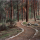 Illustration for article titled 41 More Amazing Photos From the Sony World Photography Awards
